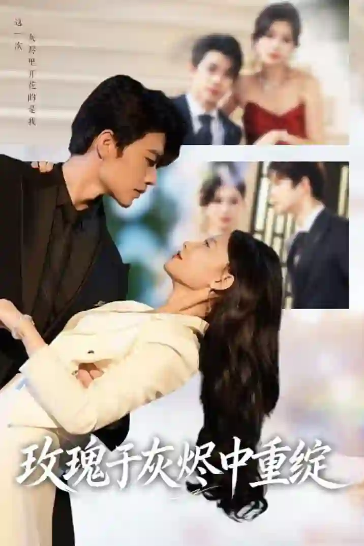 玫瑰于灰烬中重绽