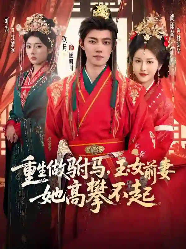 重生做驸马，玉女前妻她高攀不起